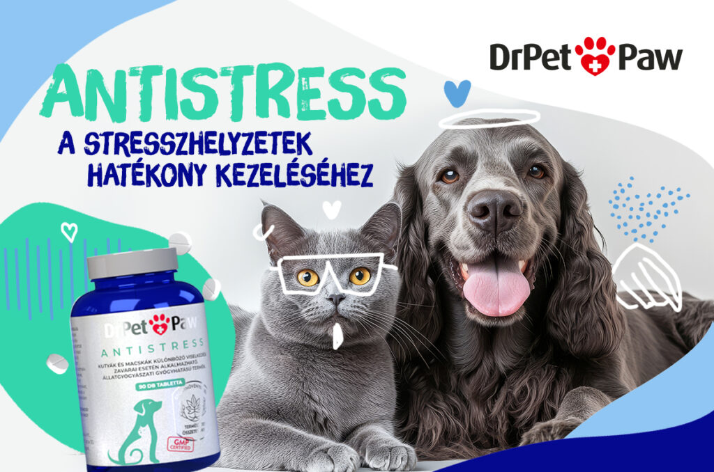 poszt-antistressz-02
