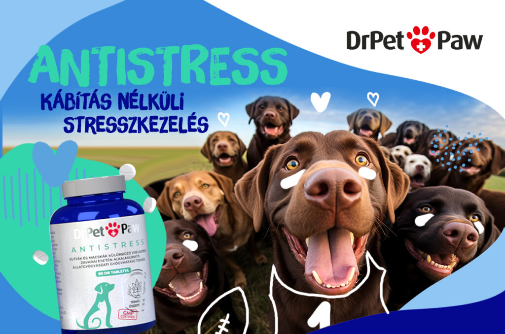 poszt-antistressz-04