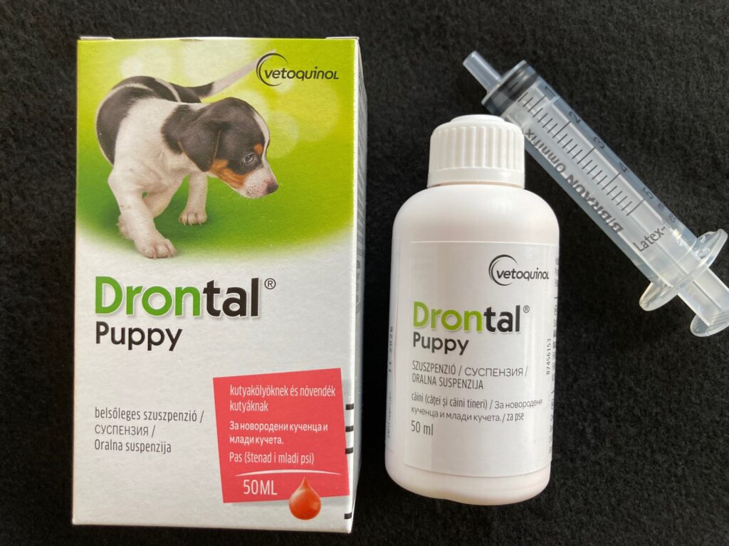 Drontal_puppy_vtq_2023