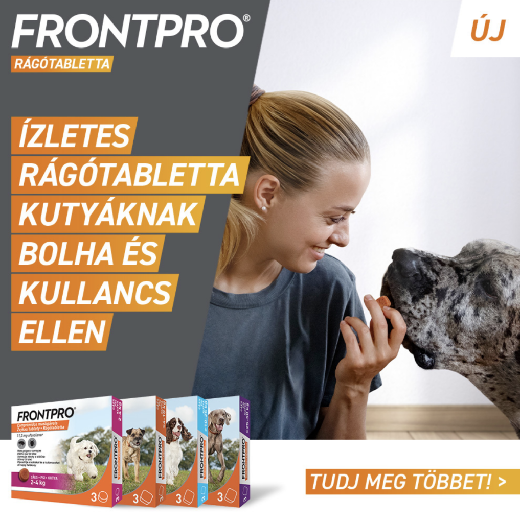 Frontpro 5