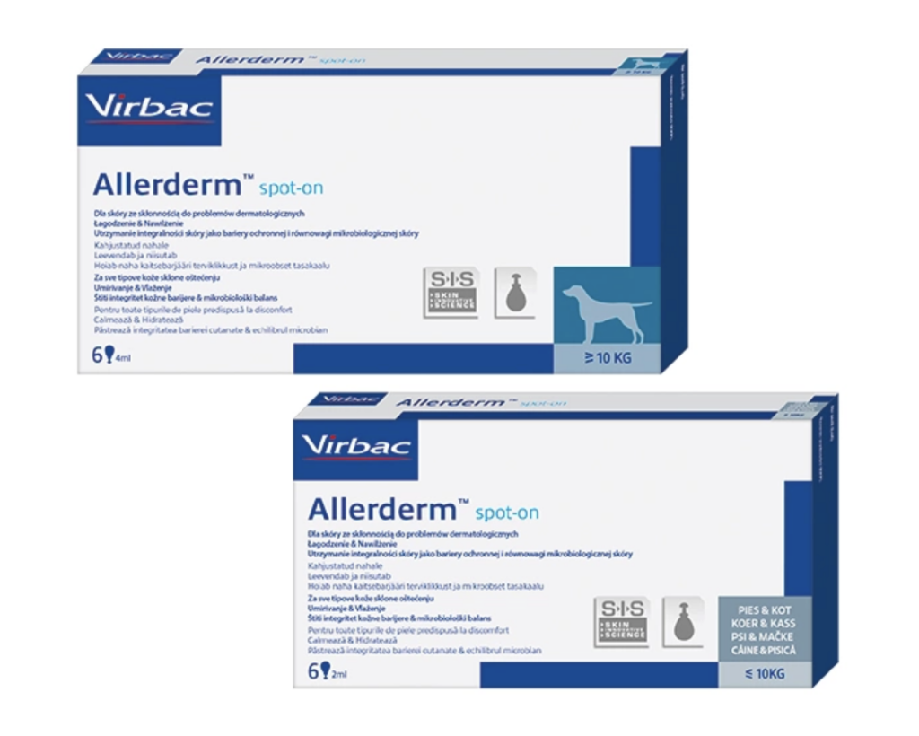 Képernyőfotó 2025-12-28 - 15.37.39