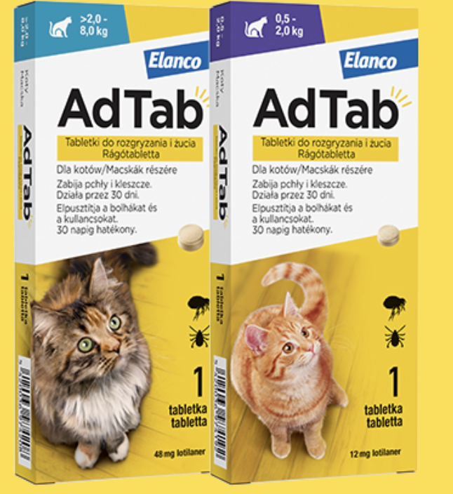 Képernyőfotó 2025-12-29 - 14.18.02