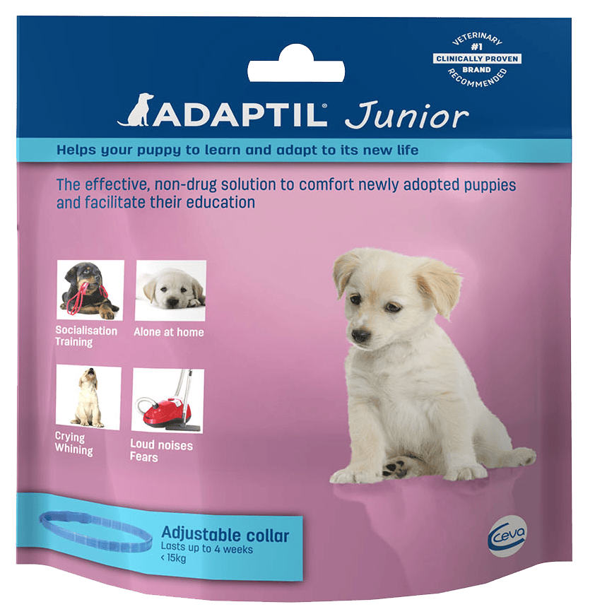 Adaptil Junior Feromonos nyugtató nyakörv - Image 3