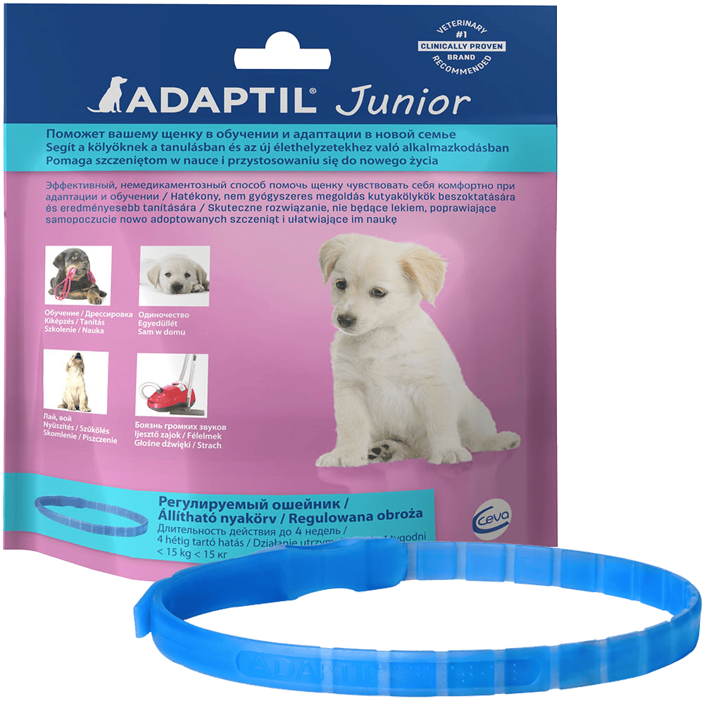 Adaptil Junior Feromonos nyugtató nyakörv