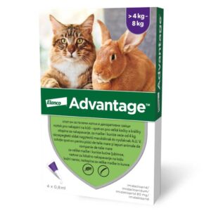 Advantage 80 csepegtető oldat bolha ellen macskáknak és nyulaknak 4 kg felett 1x