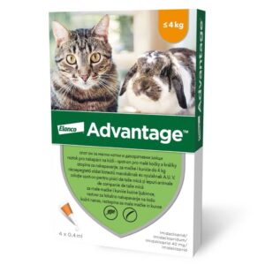 Advantage 40 csepegtető oldat bolha ellen macskáknak és nyulaknak 4 kg alatt 1x