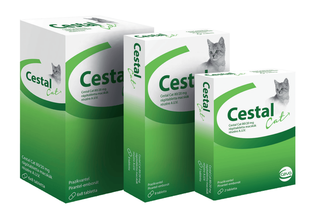 Cestal Cat rágótabletta – féreghajtó macskáknak 2 tabletta - Image 2