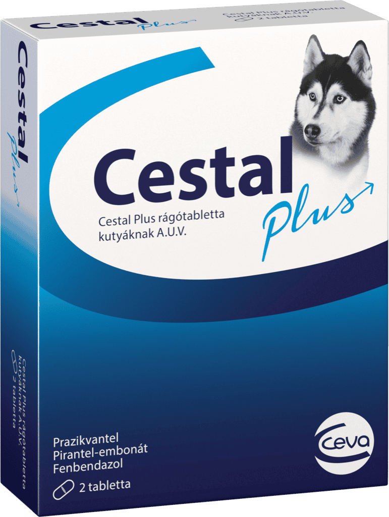 Cestal Plus rágótabletta – Széles spektrumú féreghajtó kutyáknak 2 tabletta