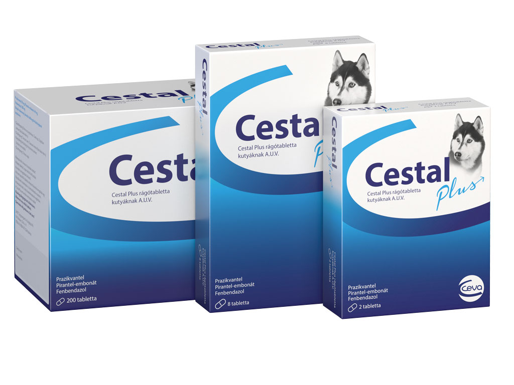 Cestal Plus rágótabletta – Széles spektrumú féreghajtó kutyáknak 8 tabletta - Image 2