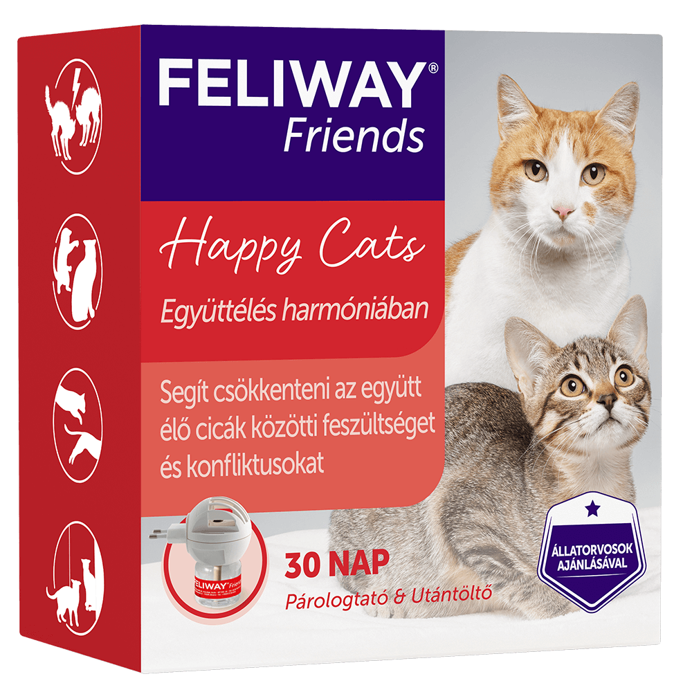 Feliway Friends macska nyugtató párologtató és utántöltő 48 ml - Image 3