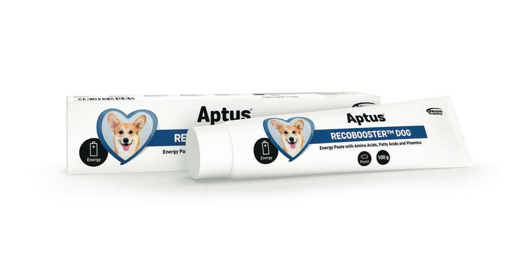 APTUS RECOBOOSTER DOG - Energiapótló paszta kutyáknak 60g