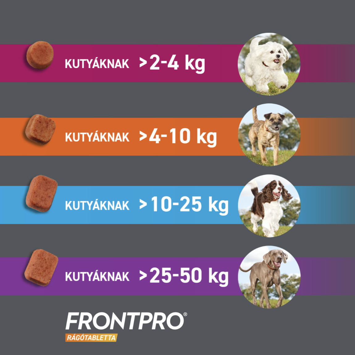 FrontPro rágótabletta 2–4 kg-os kutyáknak 3 db rágótabletta - Image 3