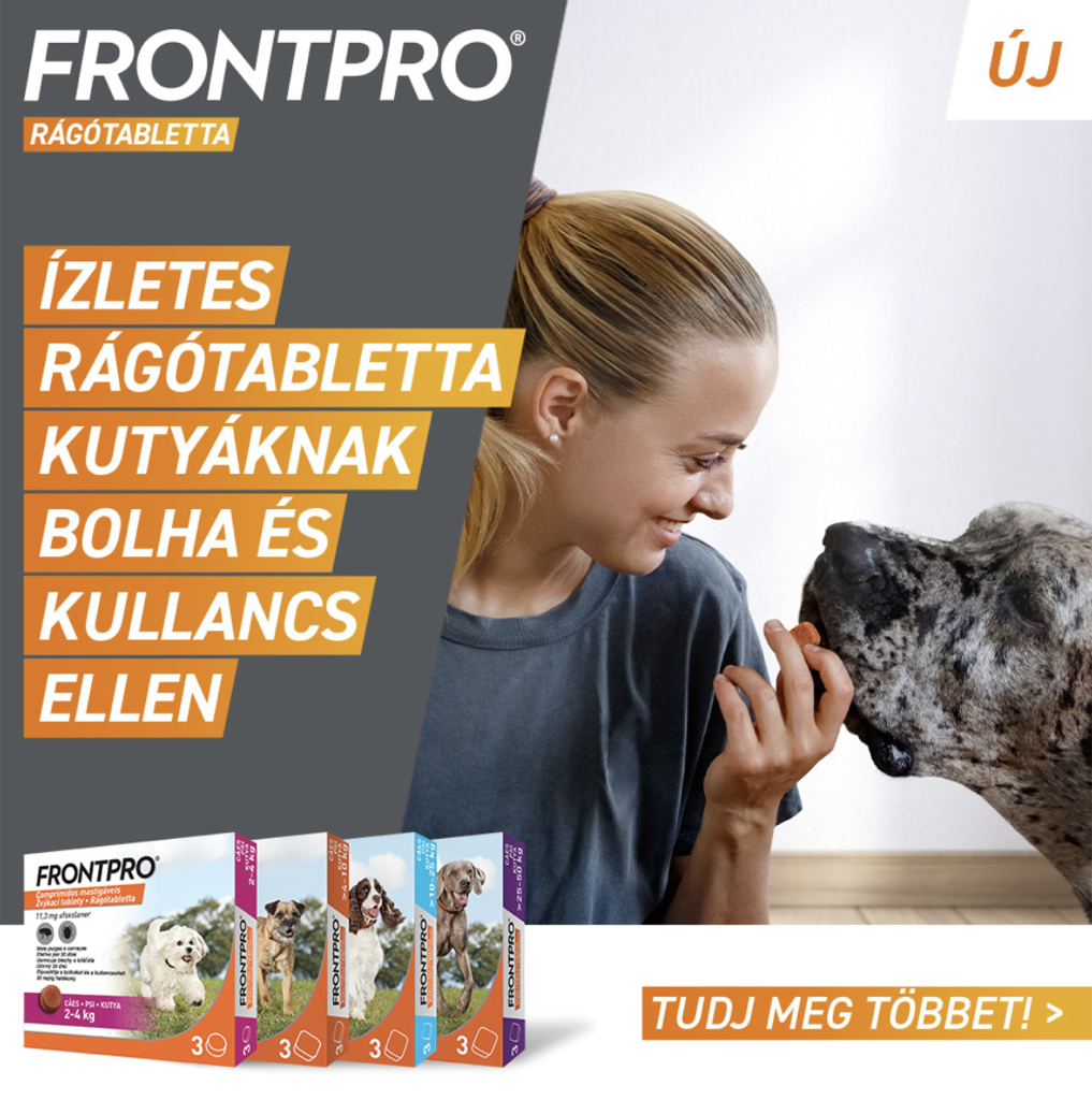 FrontPro rágótabletta 2–4 kg-os kutyáknak 3 db rágótabletta - Image 4