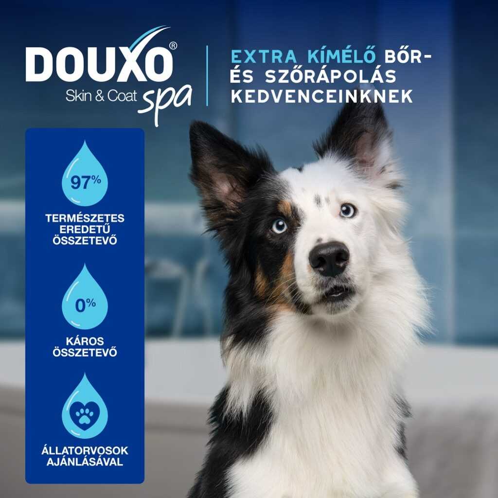 DOUXO SPA macska és kutya fültisztító folyadék 120 ml - Image 3