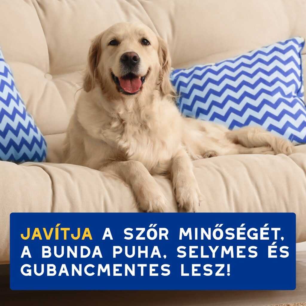 DOUXO SPA Szőrkondicionáló kutyáknak 250 ml - Image 7