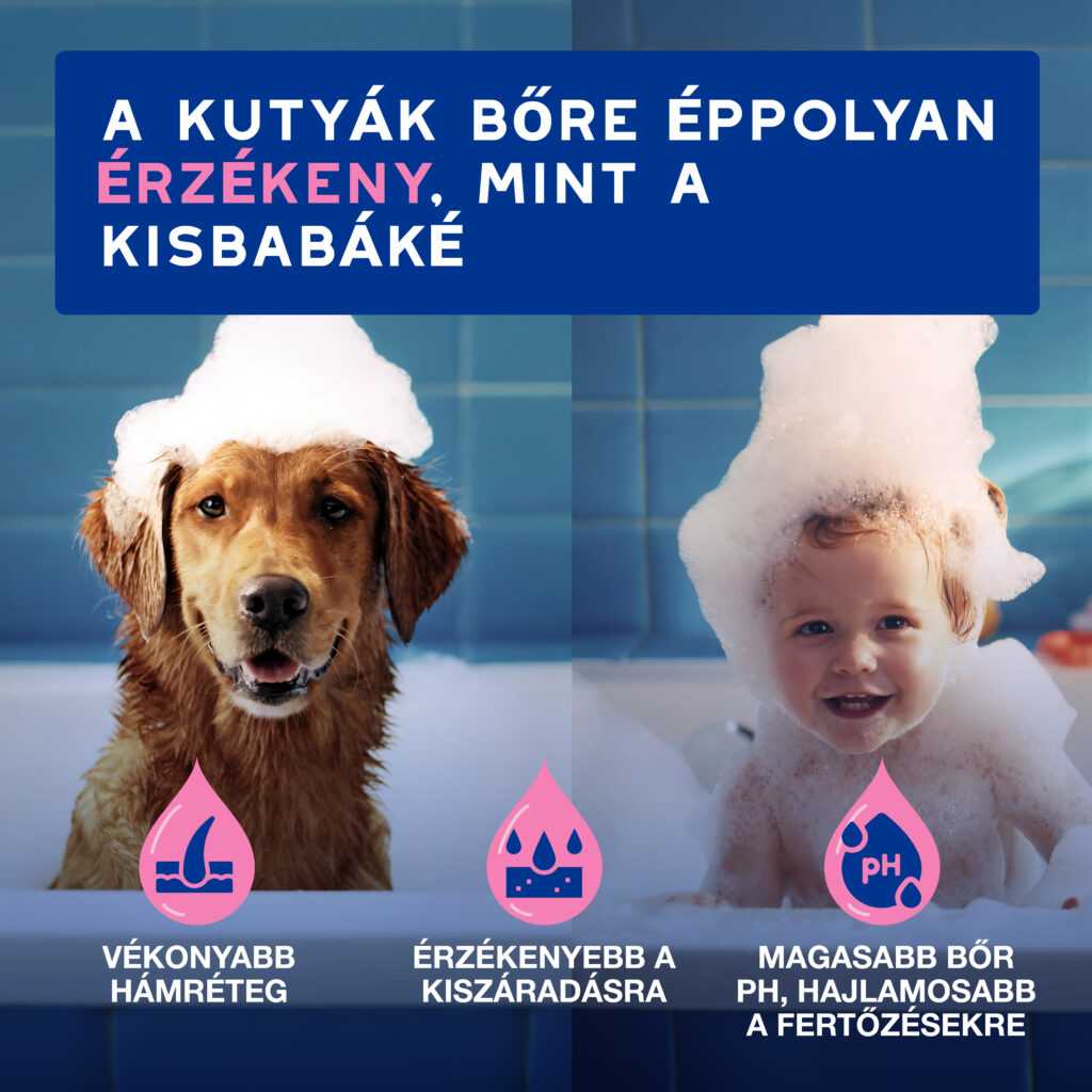 DOUXO SPA Viszketéscsillapító sampon kutyáknak 250 ml - Image 3