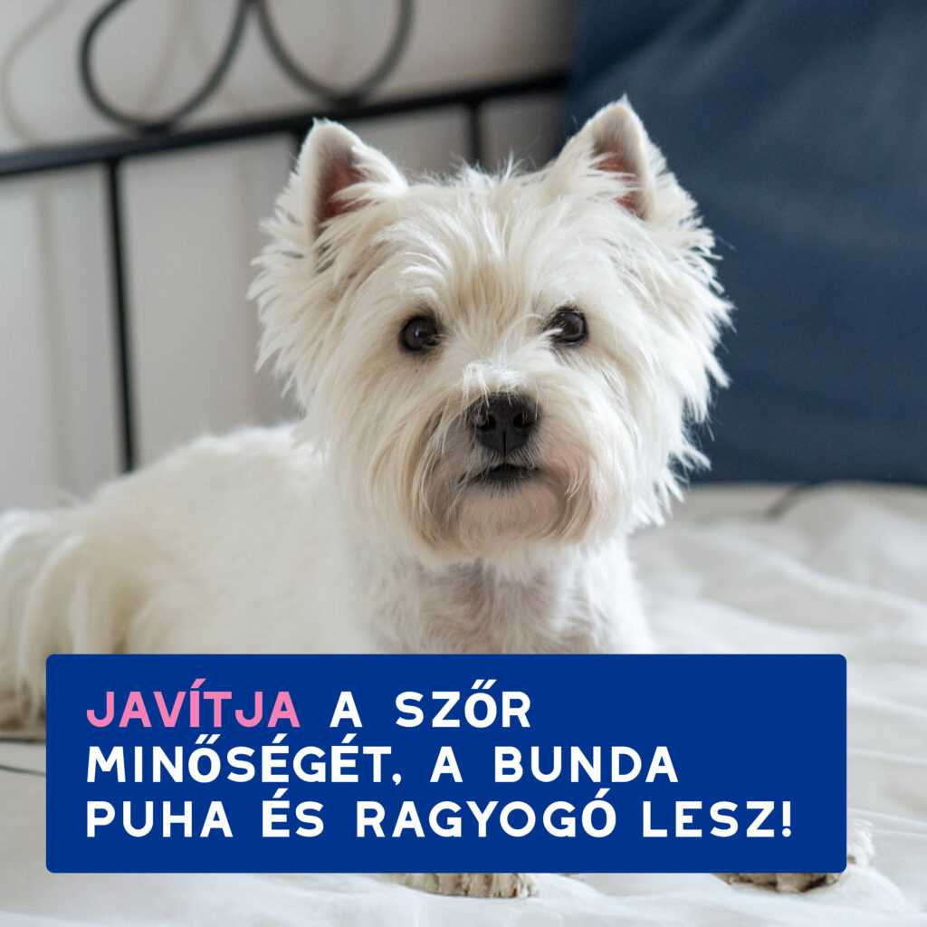 DOUXO SPA Viszketéscsillapító sampon kutyáknak 250 ml - Image 7
