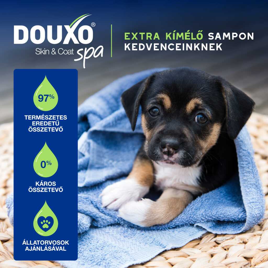 DOUXO SPA Kölyökkutya sampon 250 ml - Image 4