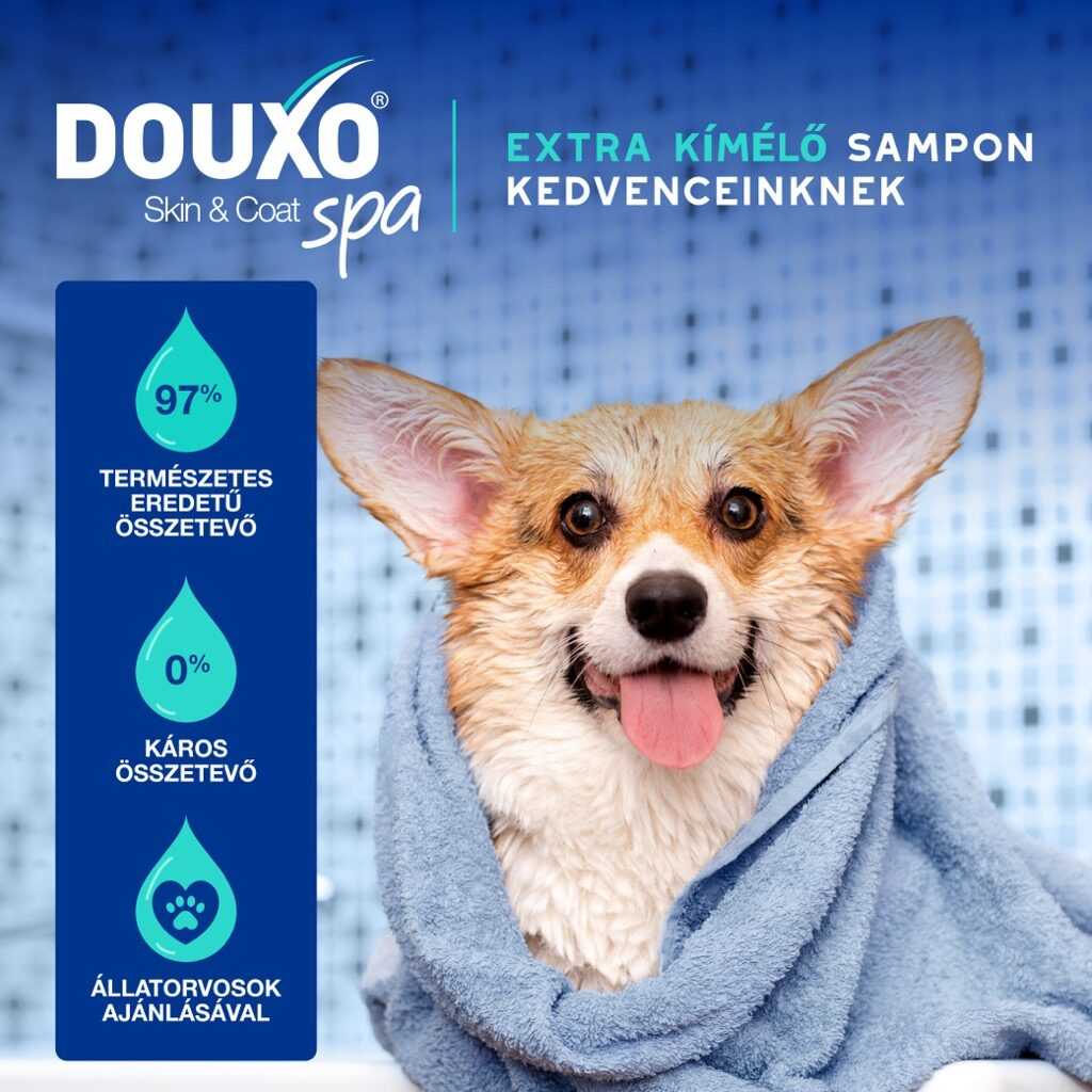 DOUXO SPA Szagsemlegesítő sampon kutyáknak – 250 ml - Image 2