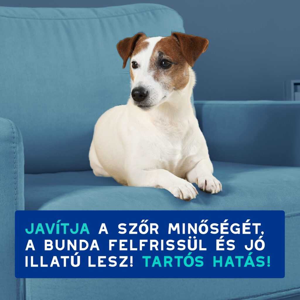 DOUXO SPA Szagsemlegesítő sampon kutyáknak – 250 ml - Image 5