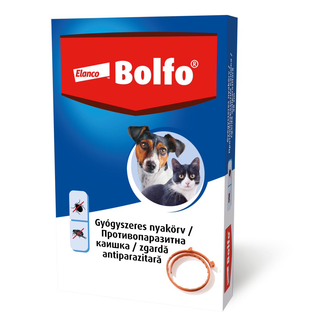 Bolfo kullancs- és bolhanyakörv kistestű kutyáknak és macskáknak 38 cm