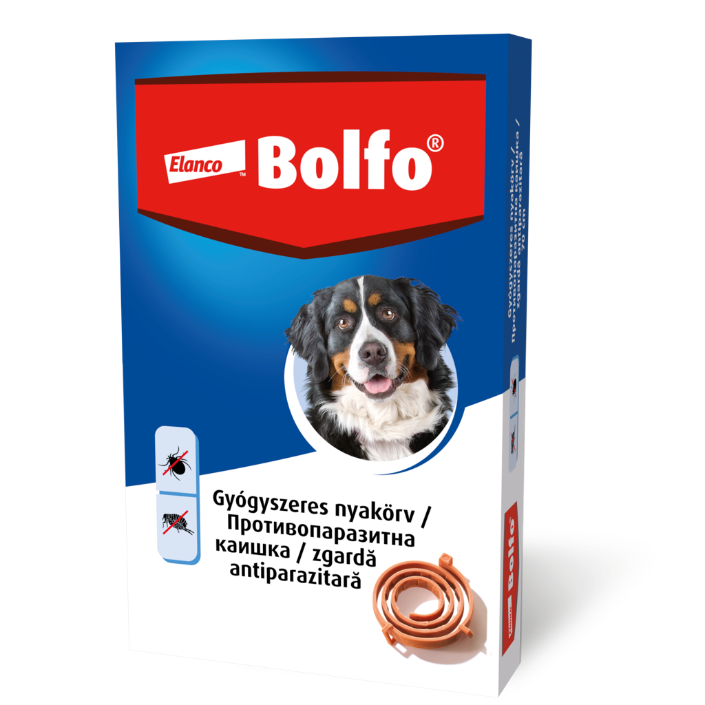 Bolfo kullancs- és bolhanyakörv nagytestű kutyáknak 70 cm