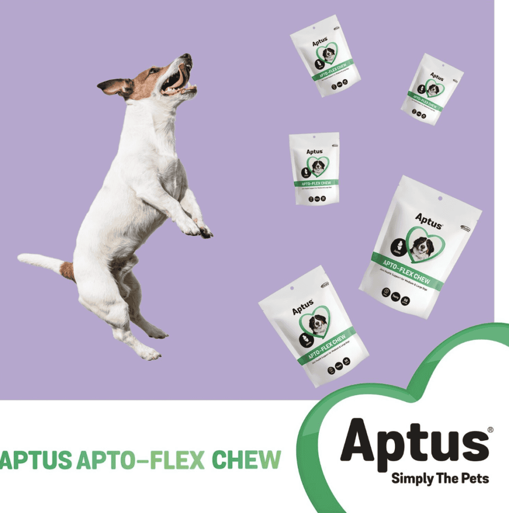 APTUS APTO-FLEX CHEW - komplex kutya izületvédőfalatkák 50 darab - Image 2