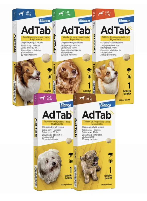 AdTab rágótabletta 2,5-5,5 kg tömegű kutyáknak - Image 2