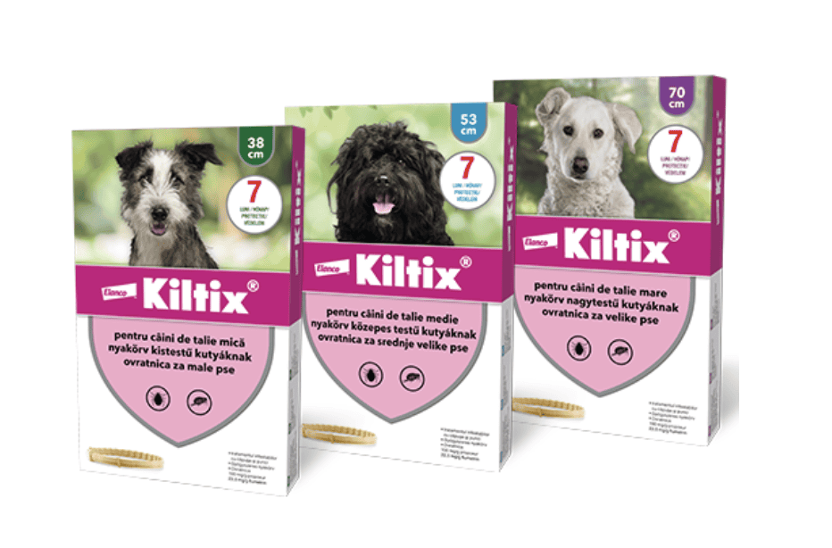 Képernyőfotó 2026-04-05 - 19.18.00