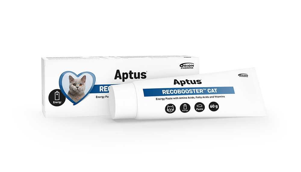 APTUS RECOBOOSTER - Energiapótló macska vitamin paszta 60 g