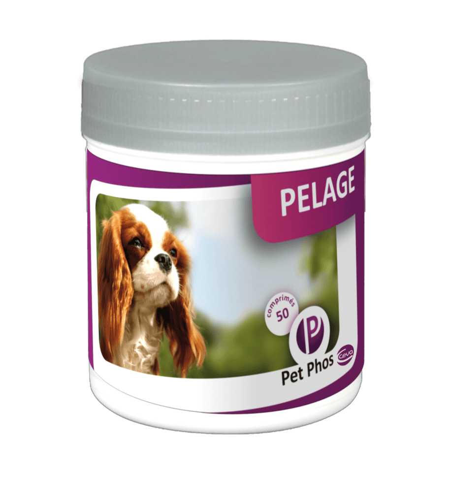 PET PHOS Coat Dog ízesített kutya szőrápoló tabletta