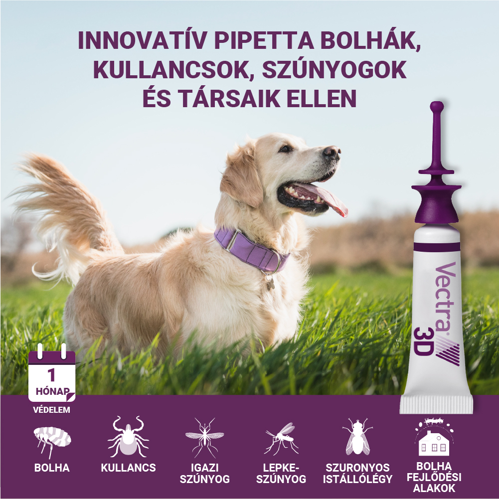 Vectra 3D Spot On 25-40 kg tömegű kutyáknak – Védelem szúnyog, kullancs és bolha ellen - Image 13