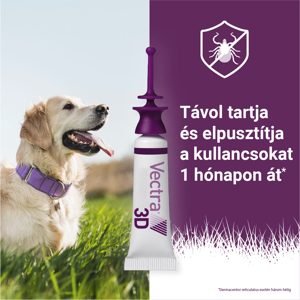 Vectra 3D Spot On 25-40 kg tömegű kutyáknak – Védelem szúnyog, kullancs és bolha ellen - Image 11