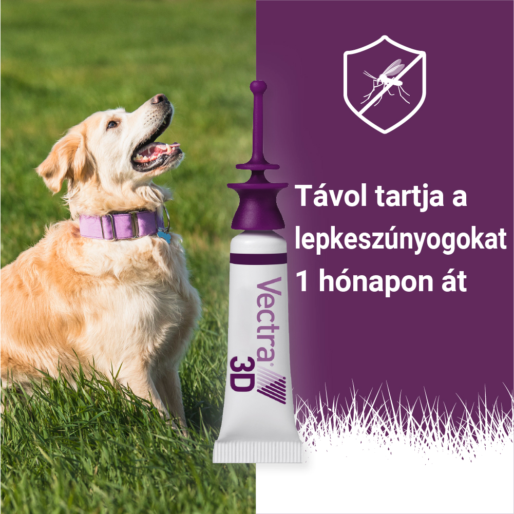 Vectra 3D Spot On 25-40 kg tömegű kutyáknak – Védelem szúnyog, kullancs és bolha ellen - Image 10