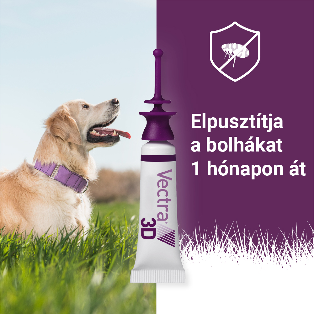 Vectra 3D Spot On 25-40 kg tömegű kutyáknak – Védelem szúnyog, kullancs és bolha ellen - Image 9