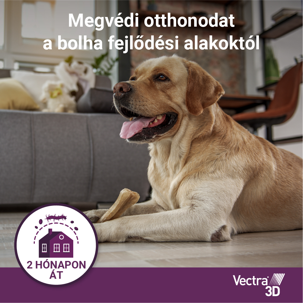Vectra 3D Spot On 25-40 kg tömegű kutyáknak – Védelem szúnyog, kullancs és bolha ellen - Image 8