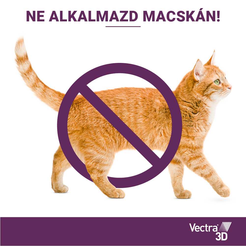 Vectra 3D Spot On 25-40 kg tömegű kutyáknak – Védelem szúnyog, kullancs és bolha ellen - Image 5