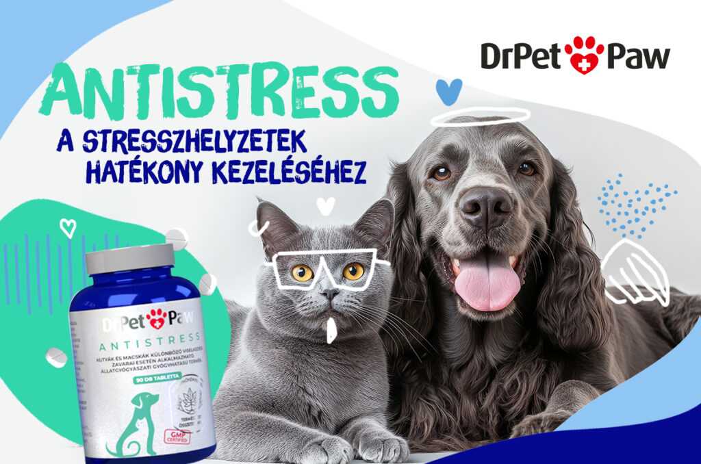 DrPetPaw Antistress macska és kutya nyugtató tabletta 90 tabletta - Image 5