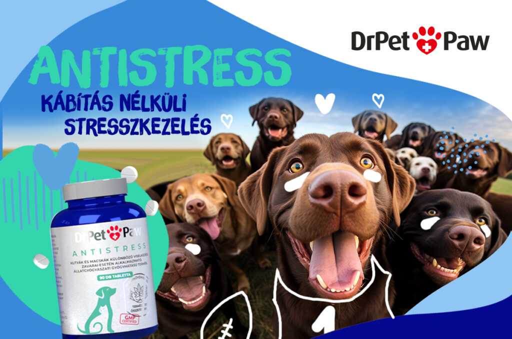 DrPetPaw Antistress macska és kutya nyugtató tabletta 90 tabletta - Image 6