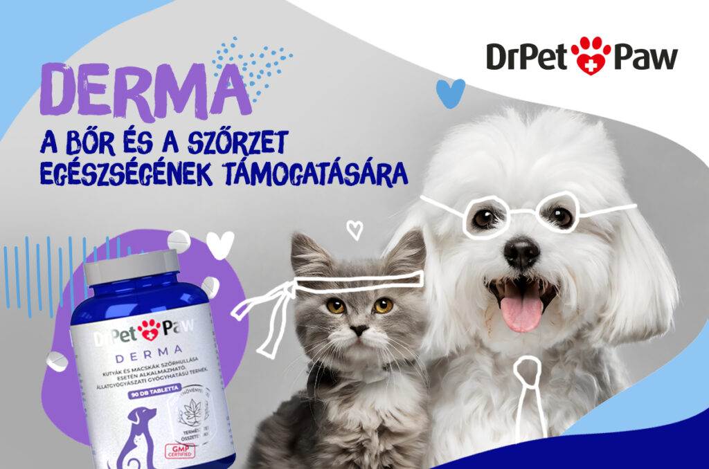 DrPetPaw DERMA – Bőr és szőrzet támogató tabletta 90 tabletta - Image 3