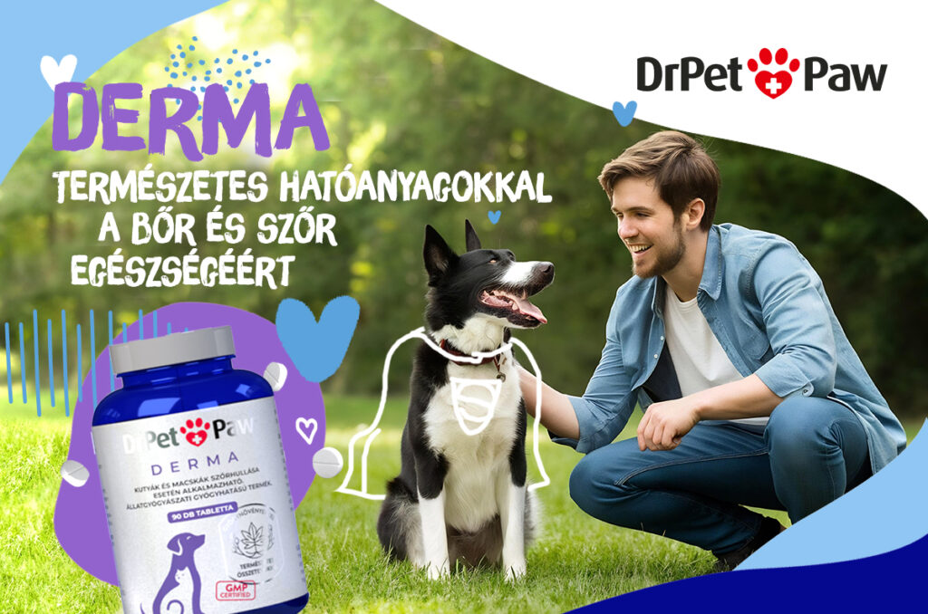 DrPetPaw DERMA – Bőr és szőrzet támogató tabletta 90 tabletta - Image 4