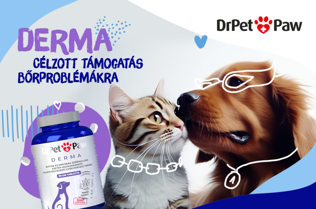 DrPetPaw DERMA – Bőr és szőrzet támogató tabletta 90 tabletta - Image 5