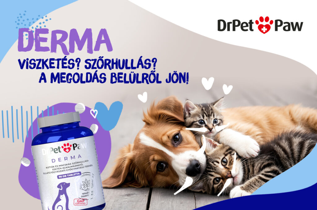 DrPetPaw DERMA – Bőr és szőrzet támogató tabletta 90 tabletta - Image 6