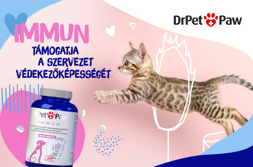 DrPetPaw Immun–Immunerősítő kutyáknak-macskáknak 90 tabletta - Image 5