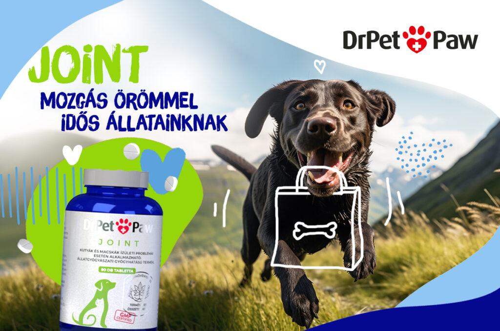 DrPetPaw JOINT ízületvédő tabletta kutyáknak és macskáknak 90 tabletta - Image 4