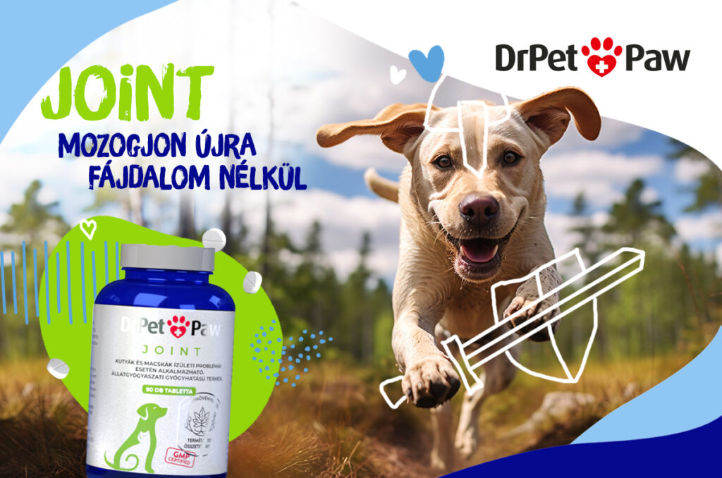 DrPetPaw JOINT ízületvédő tabletta kutyáknak és macskáknak 90 tabletta - Image 5