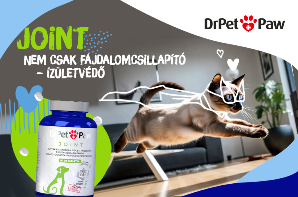 DrPetPaw JOINT ízületvédő tabletta kutyáknak és macskáknak 90 tabletta - Image 6