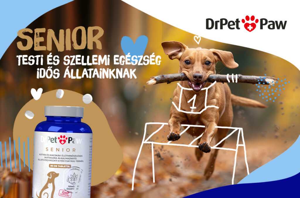 DrPetPaw SENIOR idősebb kutyák és macskák részére 90 tabletta - Image 6