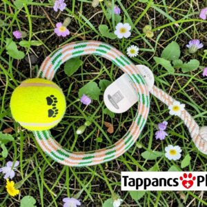 Teniszlabdás karika kutyajáték – interaktív kutyajáték