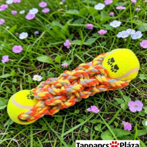 Teniszlabdás  kutyajáték – interaktív kutyajáték